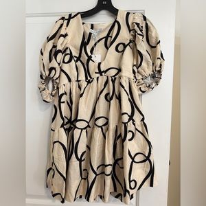 Never Worn Before NET size 4 SHONAJOY dress